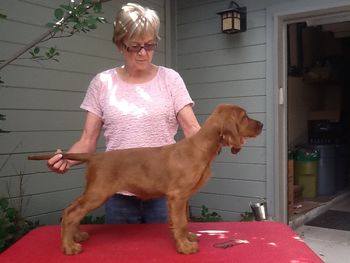 Green Girl 10 wks
