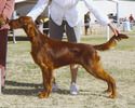 Margaux shown taking her first points in Tucson from tht 6-9 class.
