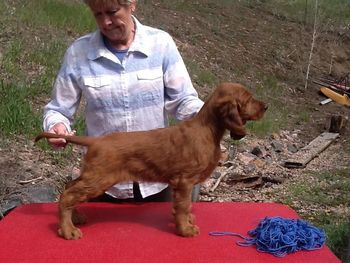 Blue boy. Almost 8 weeks.   5/21
