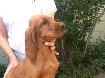 Green Girl 9 wks, 2 days
