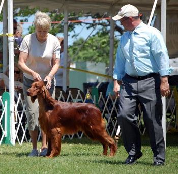 Margaux made the cut in 12-15 Sweeps class at the National under judge Will Alexander.
