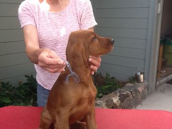 Blue boy 10 wks
