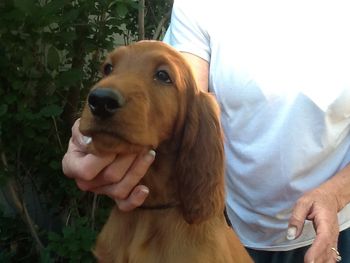 Black Boy 9 wks, 2 days   8/19
