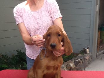 Blue boy 10 wks
