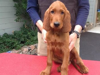 Black boy 11 1/2 wks
