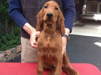 Black boy 11 1/2 wks
