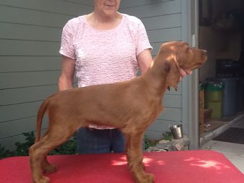 Black boy 10 wks
