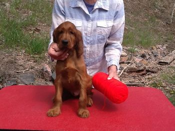 Red boy.
