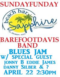 barefootdavis band