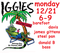 barefootdavis beach bar band