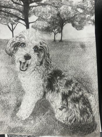 9x12
Graphite/Charcoal
