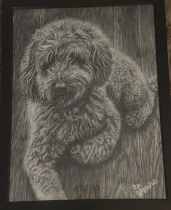 9x12
Graphite/Charcoal
