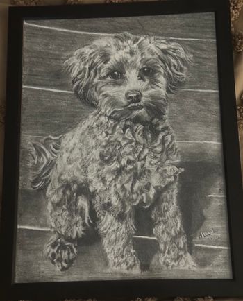 9x12
Graphite/Charcoal
