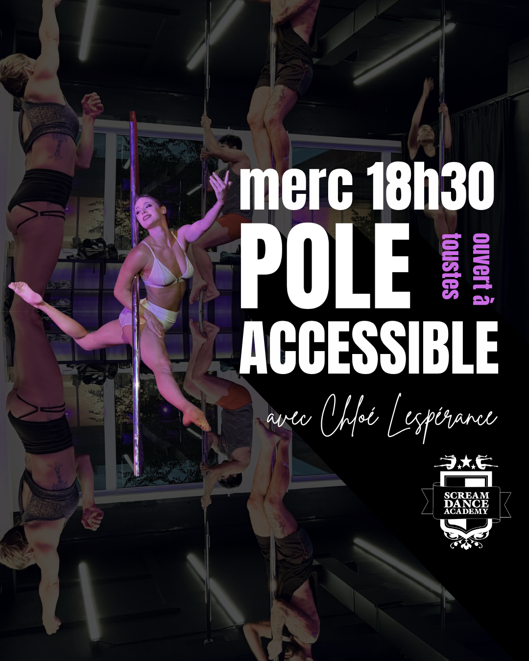 POLE débutant/toustes mercredi 18h30-19h30 session complète