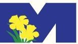 Meriden Daffodil Festival