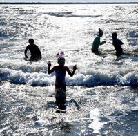 The Polar Plunge