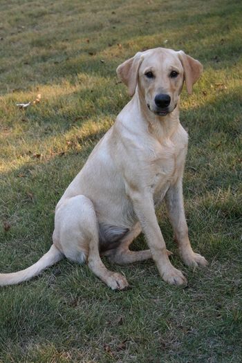 Pink at 6 months!
