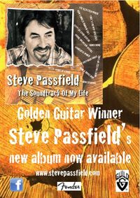 Steve Passfield - solo