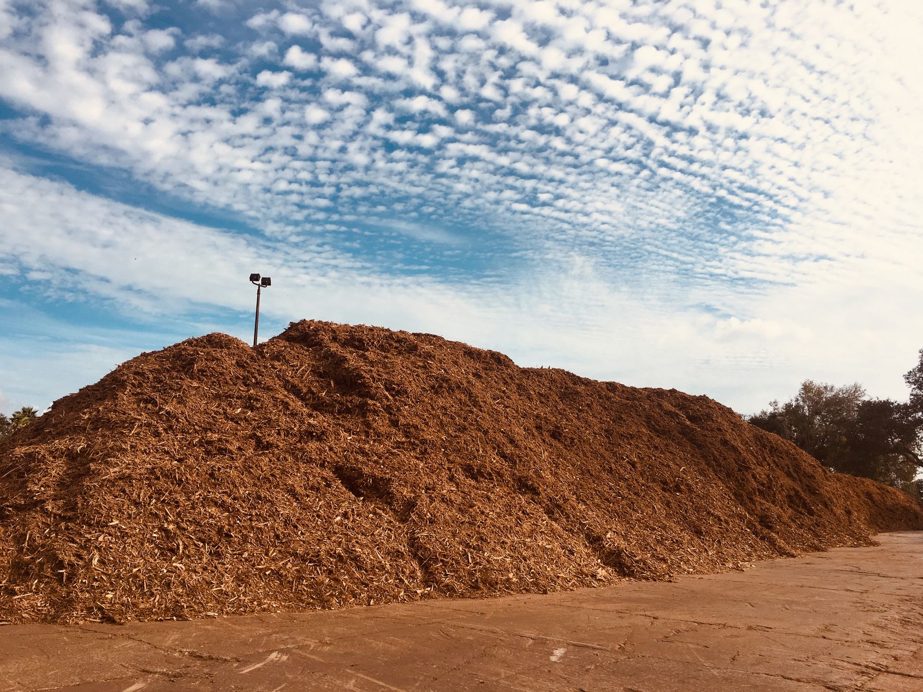 J & D Transfer Station