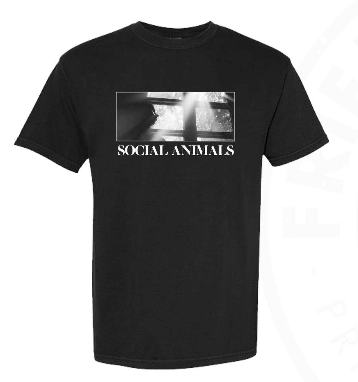 3 Year Album Anniversary Tee