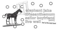 krissanthemum