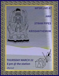 krissanthemum