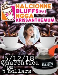 krissanthemum