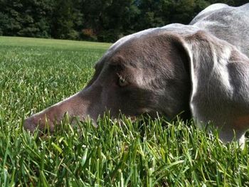 Axel 9/26/11
