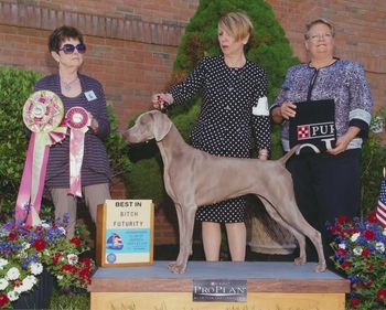 Best in Futurity-WCA National
