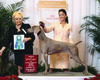 AOE National Championship Dog Show
