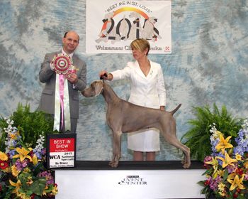 Best in Futurity WCA Natoinal 2015
