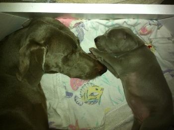 2/23/11 Red & Mom

