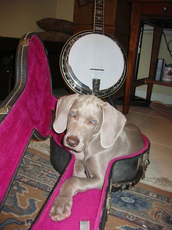 Gibson in Gibson Case
