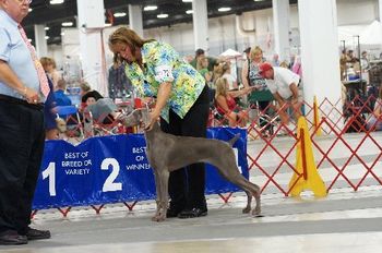 Summer-First Show 7/30/11
