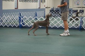 Ozzie 7/9/11
