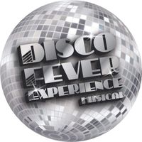 Disco Fever Experience   /  Private party