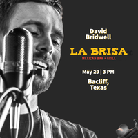 La Brisa Mexican Bar & Grill