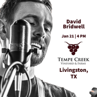 Tempe Creek Vineyard