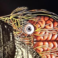 The Floating Brains