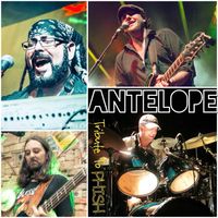 Mardi Gras w/ Antelope: A Tribute To Phish