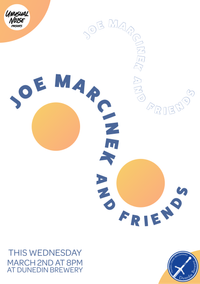 Joe Marcinek Band