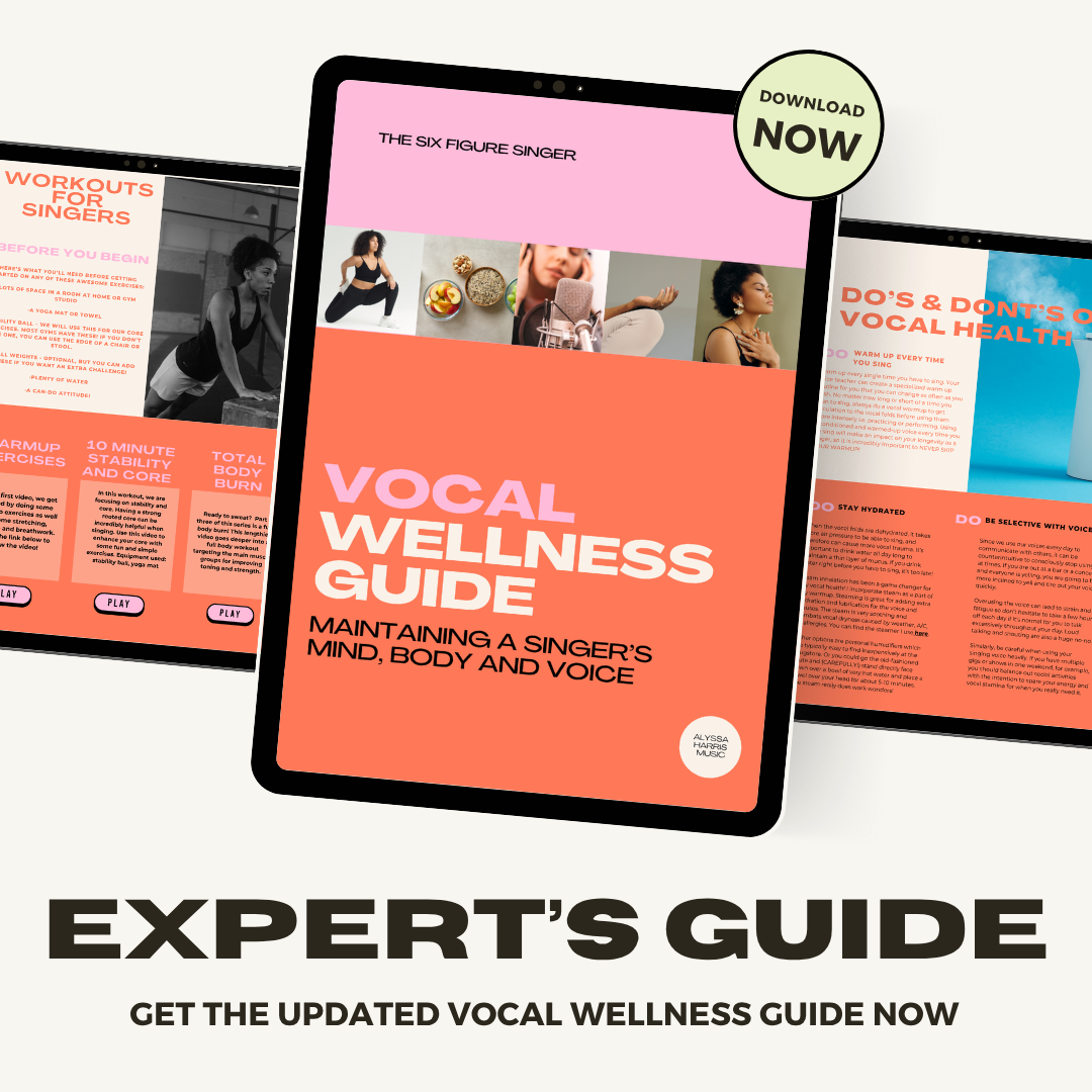 The Vocal Wellness Guide