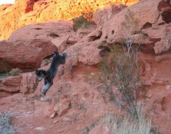 Cloe taking the leap!
