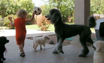 No matter how short the throw, it's going to be fun!
