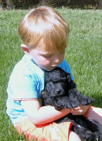 I like this puppy
