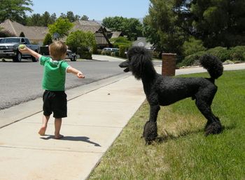 AJ waiting for Owen to throw the ball!
