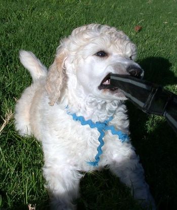 Hey, I want to take your picture.
