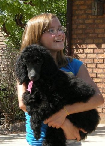 A puppy going home to be loved!
