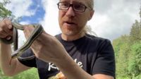 Canada Day Reptile Rainforest Roadshow at KOA Renfrew