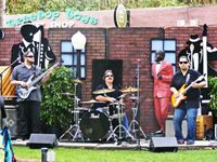 BLUES ON THE FARM